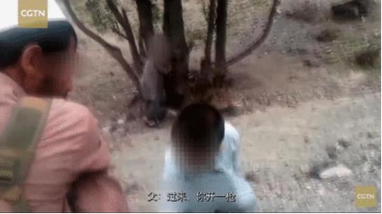 对新疆暴恐真相西媒“失明” 网友讽：该治眼睛