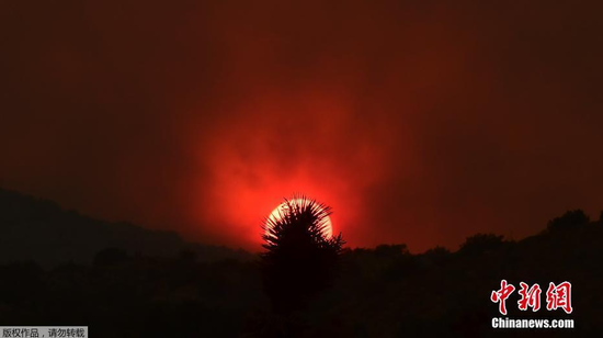 当地时间9月19日，持续数周的山火给美国尤其是西海岸各州部分民众的生活造成巨大影响。在这几个州中，情况最严重的是加利福尼亚。今年的山火已烧毁加州330万英亩土地，打破该州历史纪录。有17000名消防员正在加州参与灭火。目前美国10个州的87场大火燃烧，即将发生的火灾可能更加严重。