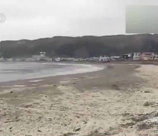 北海道海岸现鱼鳞鱼骨