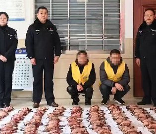 重大贩卖野生动物案破获