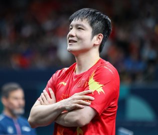 樊振东政界新职