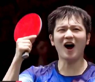 樊振东政界新职