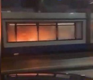 荷兰再现暴力事件