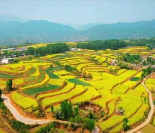 邂逅王屋山下春日浪漫