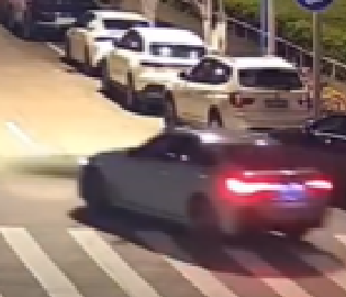 海口再通报汽车拖猫事件