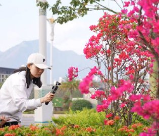 春色满城惹人醉