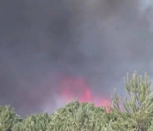 法國森林火災(zāi)6人被拘留
