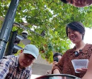 阿卡沙雷士邦vs哈塔斯堡