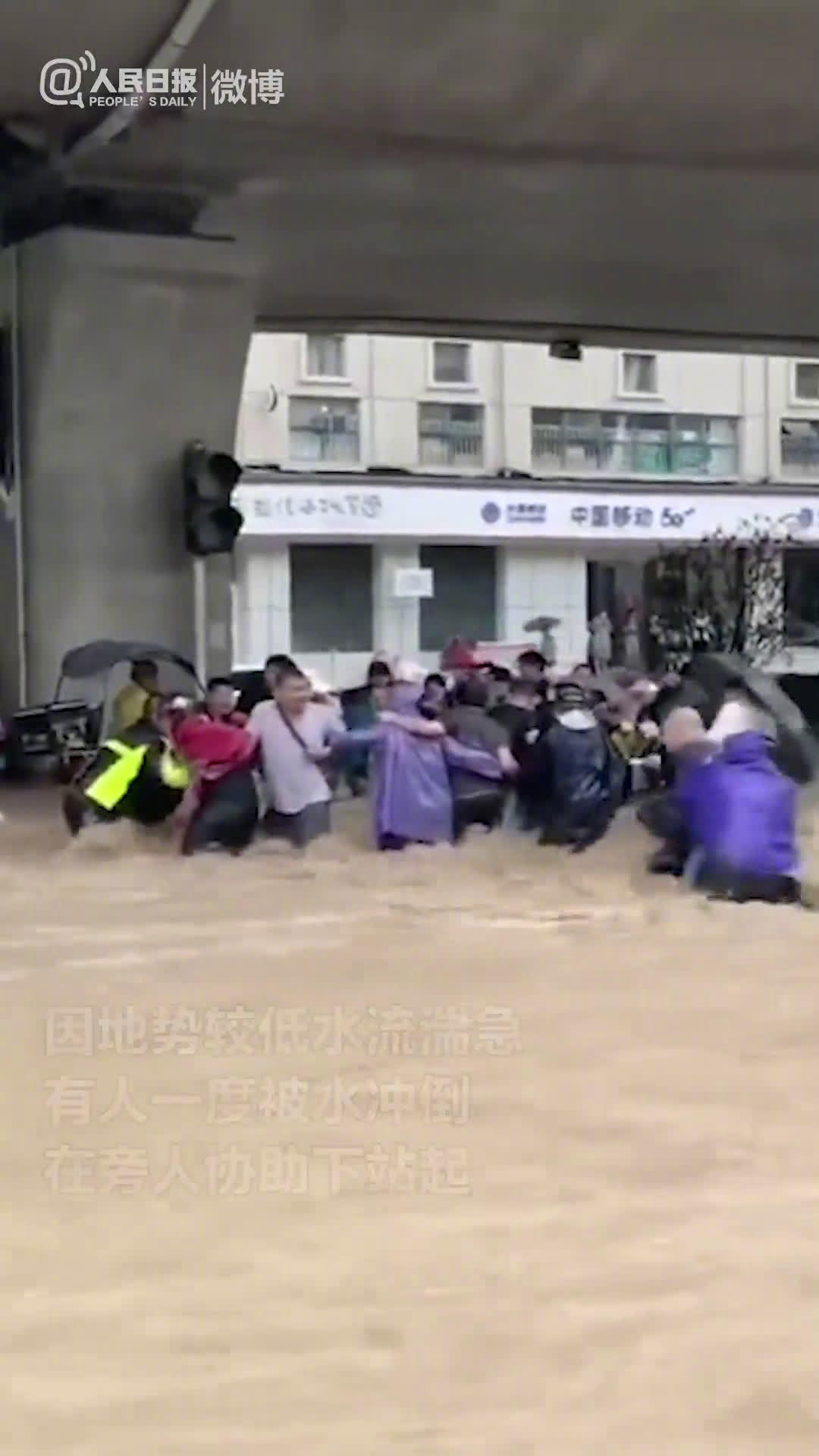 注意安全！郑州行人挽成人墙过马路
