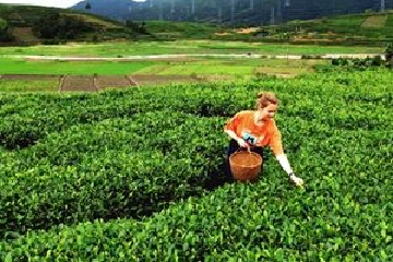 新时代，我在中国｜娜斯佳的美好生活