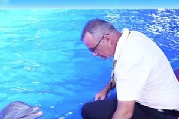 新时代，我在中国 | 英国动物保护专家史蒂夫：我在中国见证海洋生命“绿色通道”