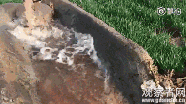 本文图均为 科技微信公众号 图