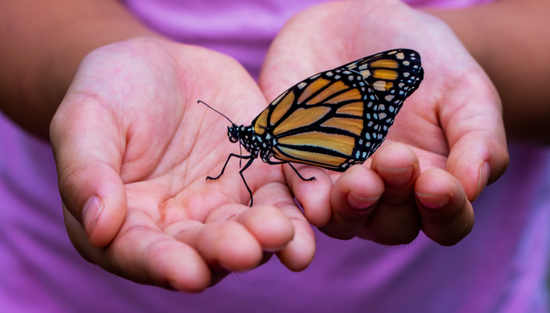 (图片来源:unsplash)