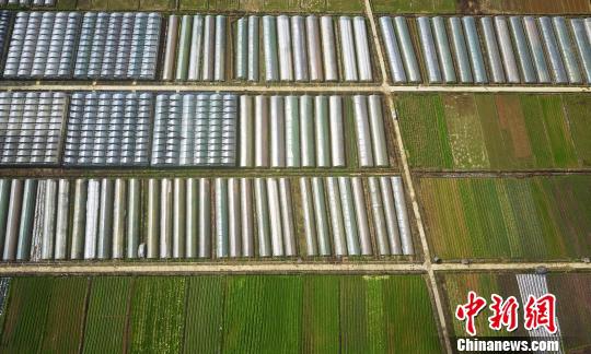 资料图:扶贫基地 赵春亮 摄