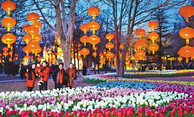 近日，北京市丰台区举办以“福满京城 春贺神州”为主题的灯会及灯光秀活动，营造红火热闹的中国年味儿，丰富群众节日文化生活。该区还向道德模范等先进人物代表免费发放灯会门票。灯会将一直持续到元宵节。图为2月17日游客在欣赏郁金香灯海。本报记者 贺 勇摄
