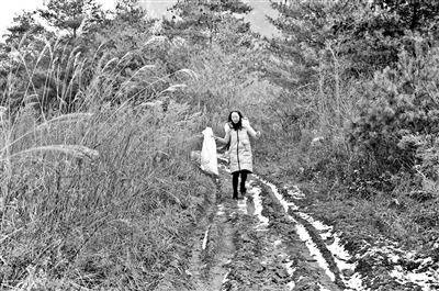 春节过后刚刚一周，梁倩娟就来到离家20余公里的山区拜访农户