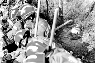 搜救现场，救援人员与一只搜救犬一起轮休 供图/视觉中国