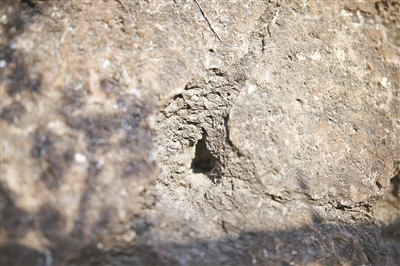 宝顶的三合土表面，疑为盗墓人用铁钎打下的探孔