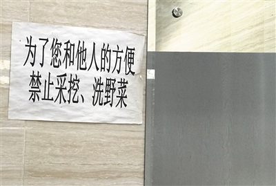 公园里的公厕内张贴着禁止采挖、洗野菜的告示。