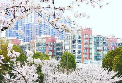 ǧӣŭűԼ8000˴ν԰ͻ ձܳͨѶԱϼ