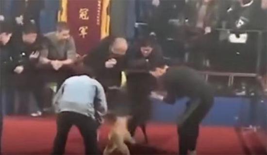 赌狗现场。视频截图