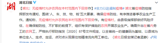 湖北：无疫情村允许农民在本村范围内下田劳作
