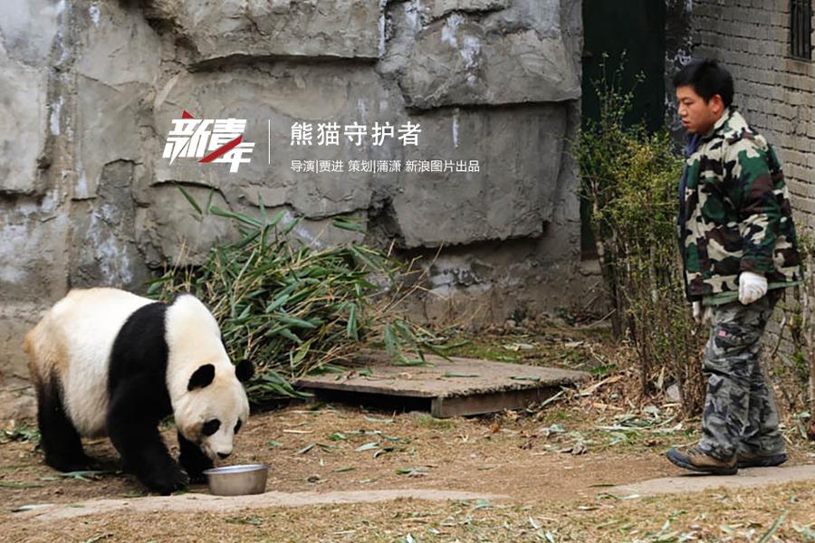 大熊猫饲养员