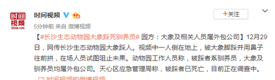 长沙生态动物园：被踩死驯养员及大象属外包公