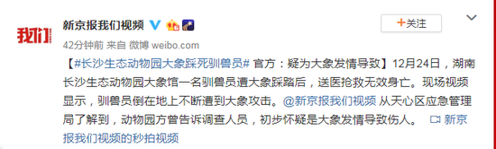 长沙一动物园大象踩死驯兽员 官方:疑因大象发
