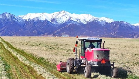 甘肃山丹马场：中国最大牧草生产基地“开镰”