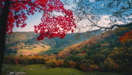 吉林通化：临江331国道溪谷层林尽染