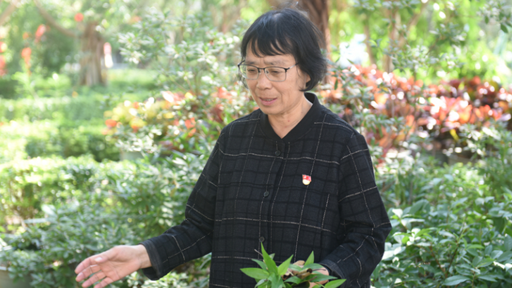 张桂梅：点亮大山女孩梦想的“校长妈妈”