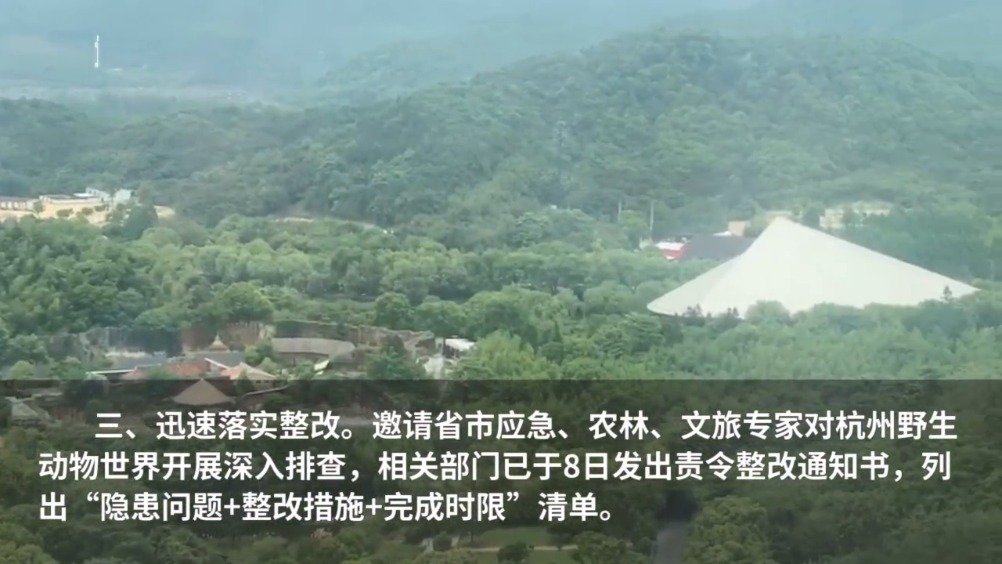 杭州“豹子外逃”续：野生动物世界整改不到位绝不开园