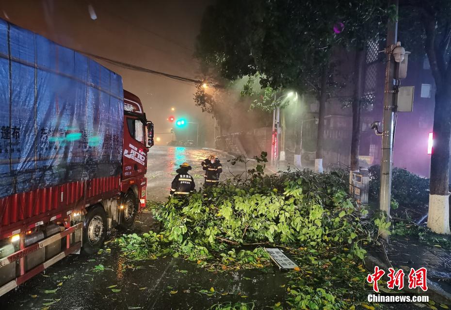 重庆遭遇狂风天气 街头多处树木被折断
