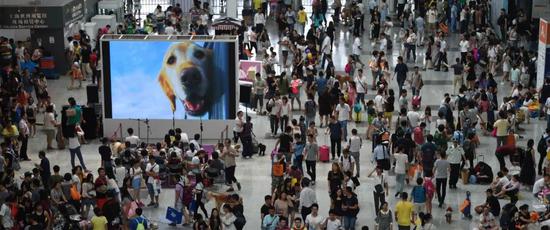 ▲为期四天的上海亚洲宠物展，在8月29日人流达到顶峰，55000平米的展厅被挤得满满当当。受访者供图
