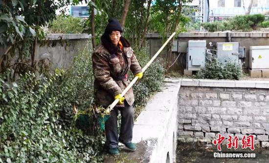 楊飛 攝