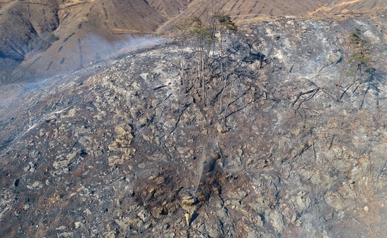 　当地时间3月6日，韩国江原道江陵市，消防人员正在消除残火。