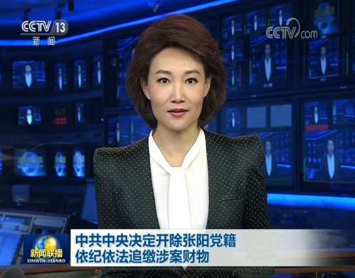 新闻联播视频：中共中央决定开除张阳党籍 依纪依法追缴涉案财物