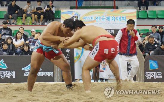 图为韩国民俗摔跤的场景。（韩联社）