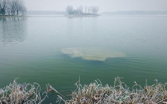 残留的雪景。新京报记者 王巍 摄