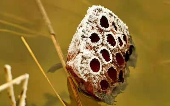 北京今晨再次降雪了吗？南郊下了一点点