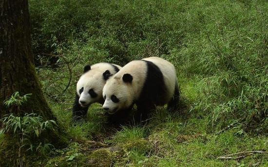 來源：人民日?qǐng)?bào)客戶端