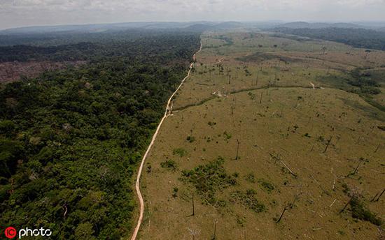 亚马逊森林被大面积砍伐 @IC Photo