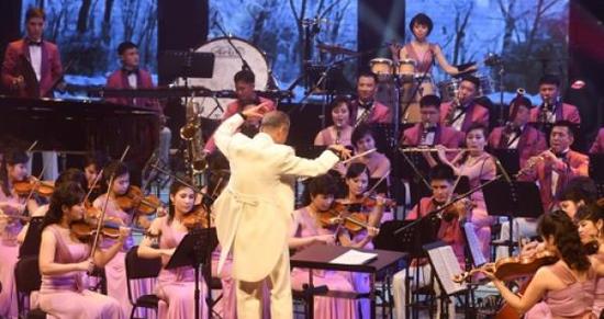 艺术团还带来了根据世界古典音乐改编的管弦乐演奏。