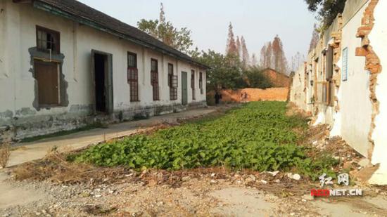 为给“绿水青山”让路,南县关停了全县最大的家禽养殖基地。
