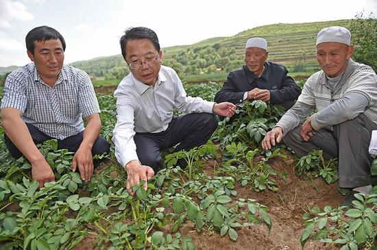 田间地头的西吉县委书记马志宏
