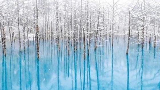 冬季的日本是一个被冰雪覆盖的世界