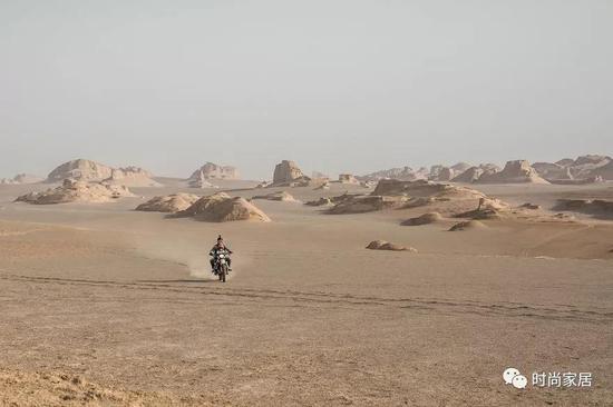 在旅途中,小家伙总是显得兴奋,