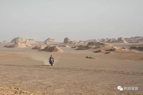 在旅途中，小家伙总是显得兴奋，