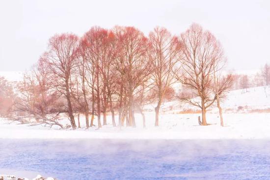 你可以，在阿尔山的雪村住一晚，品味别样的烟火气。